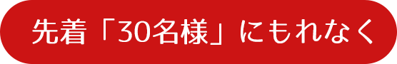 先着「30名様」にもれなく